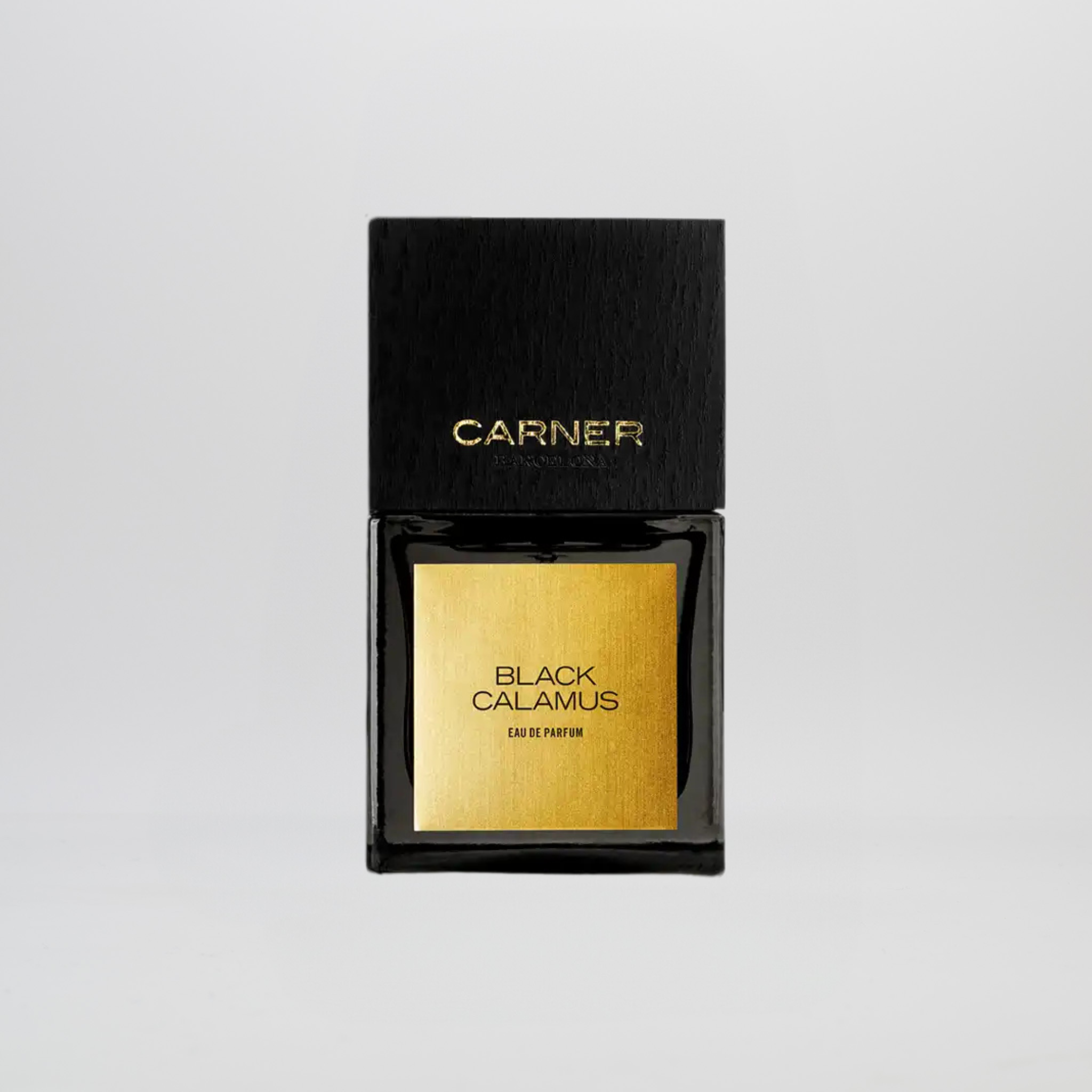 Black Calamus