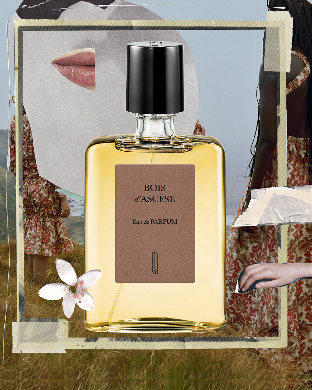 Bois d'Ascese Vial 2ml