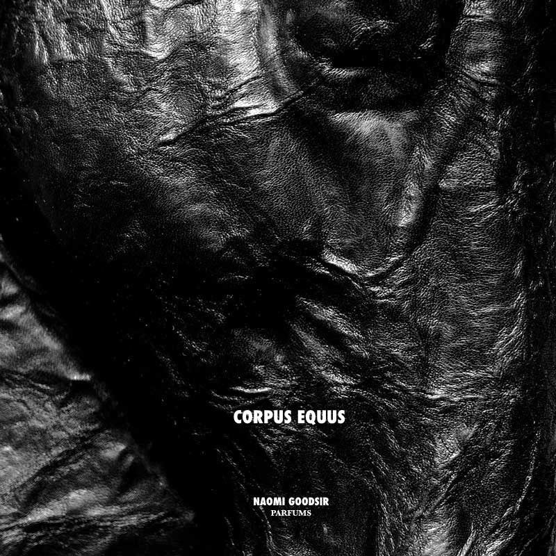 Corpus Equus