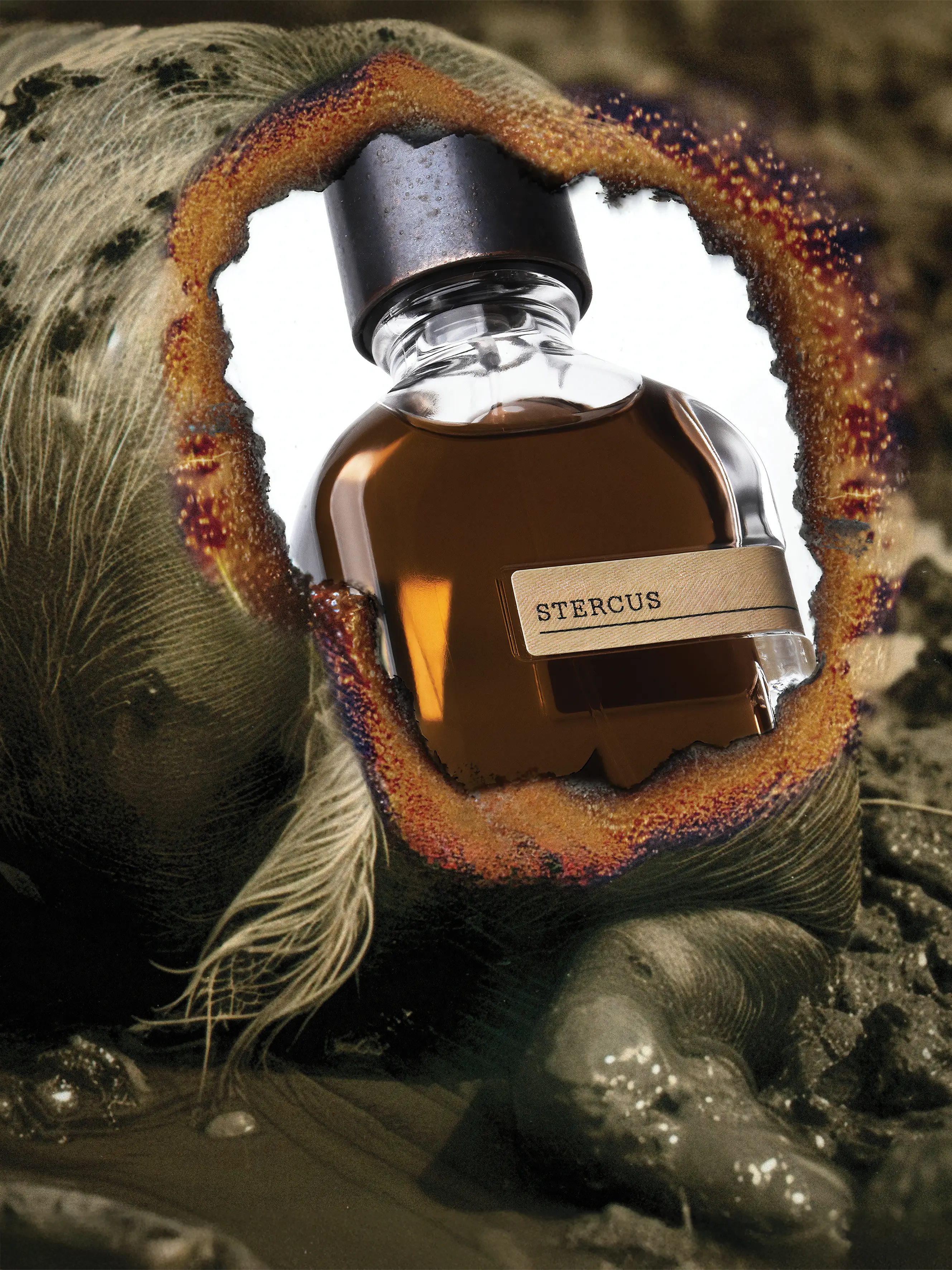 Stercus 1ml Vial