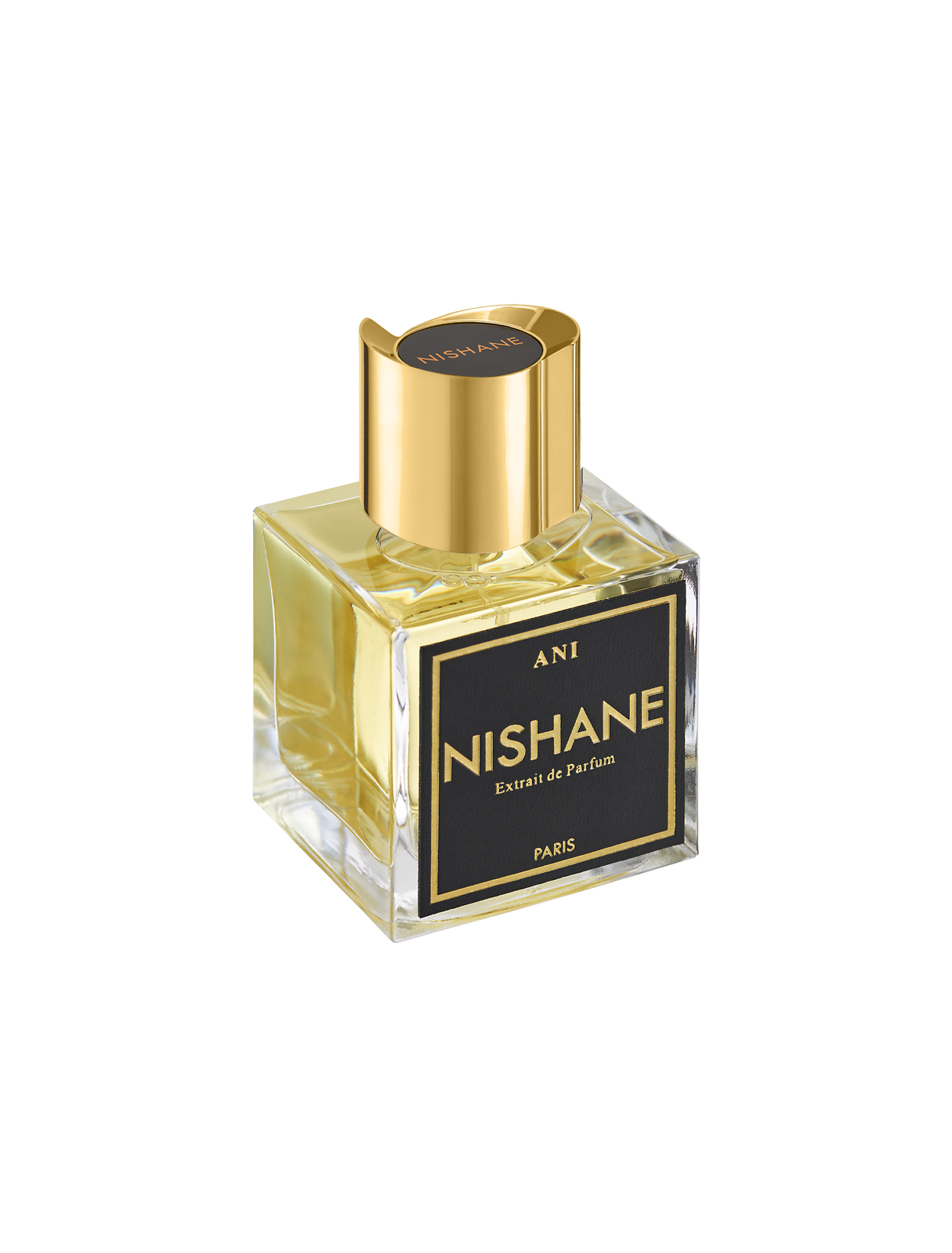 アクアブーケニシャネ アニ エキストレドゥ EXTRAIT [5074] DE 100ml パルファム ANI NISHANE PARFUM