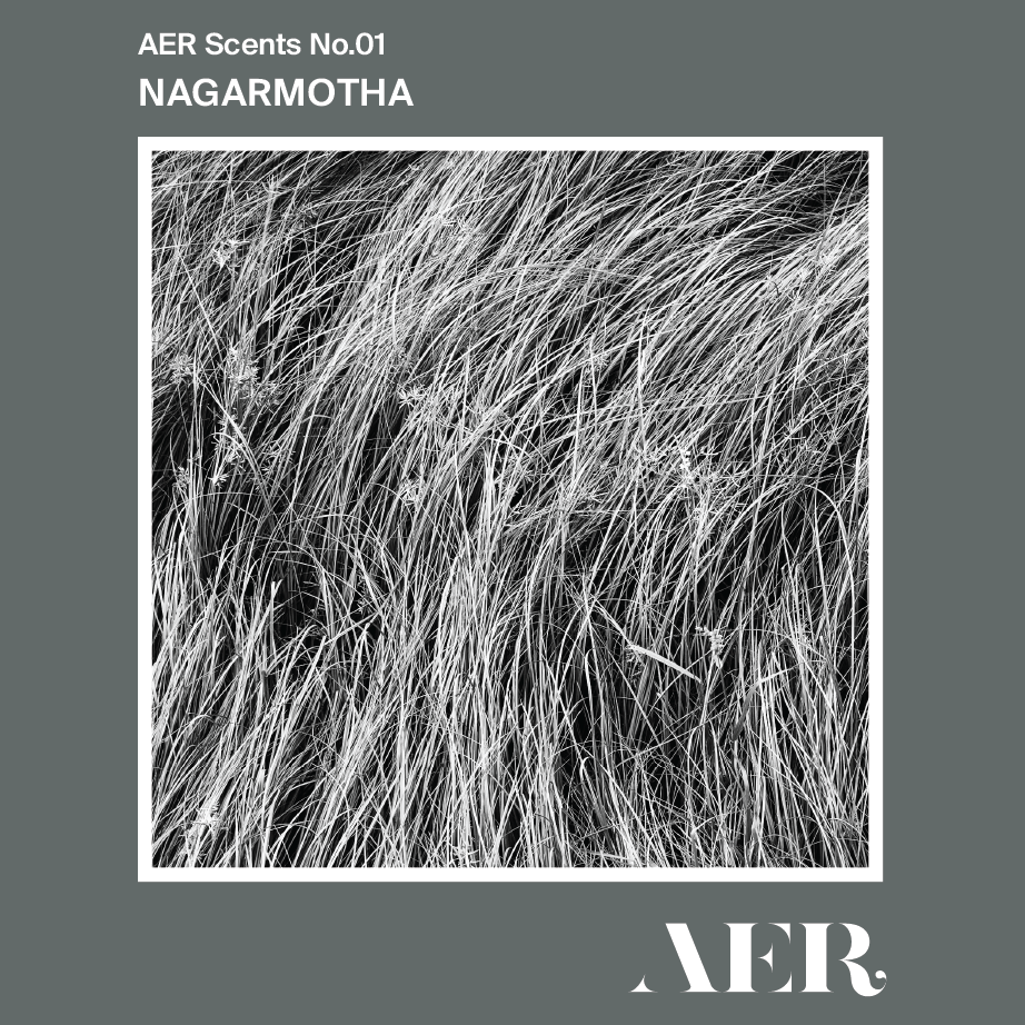 No.01 Nagarmotha