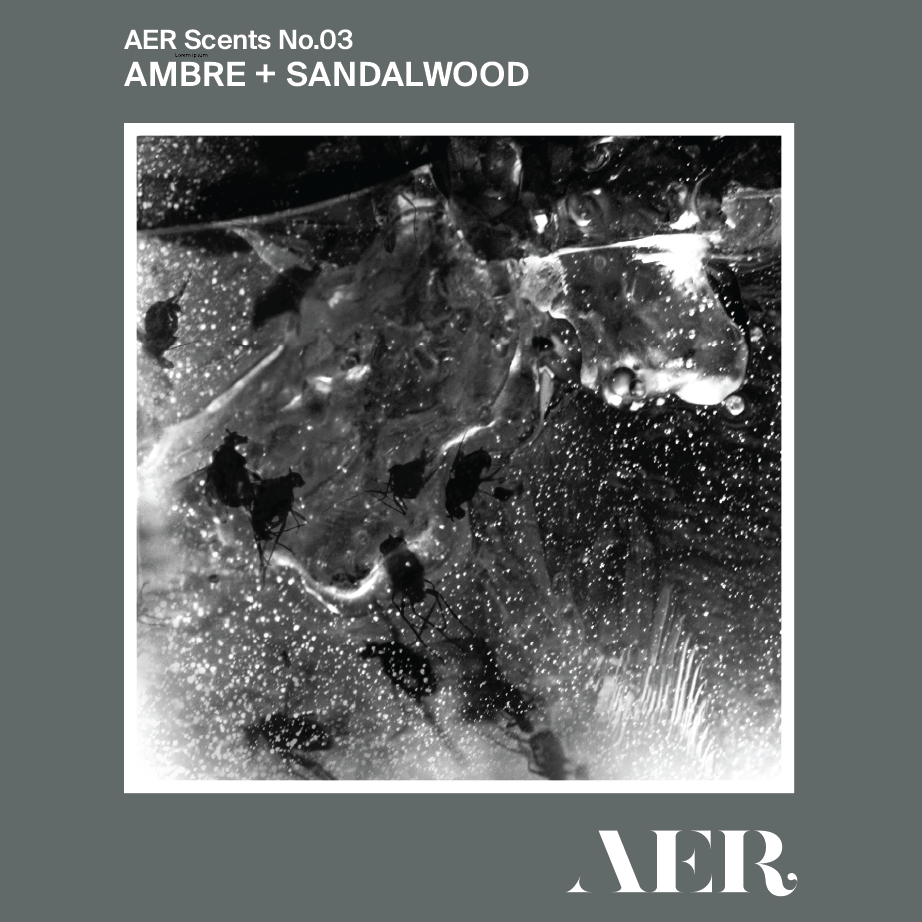 No.03 Ambre