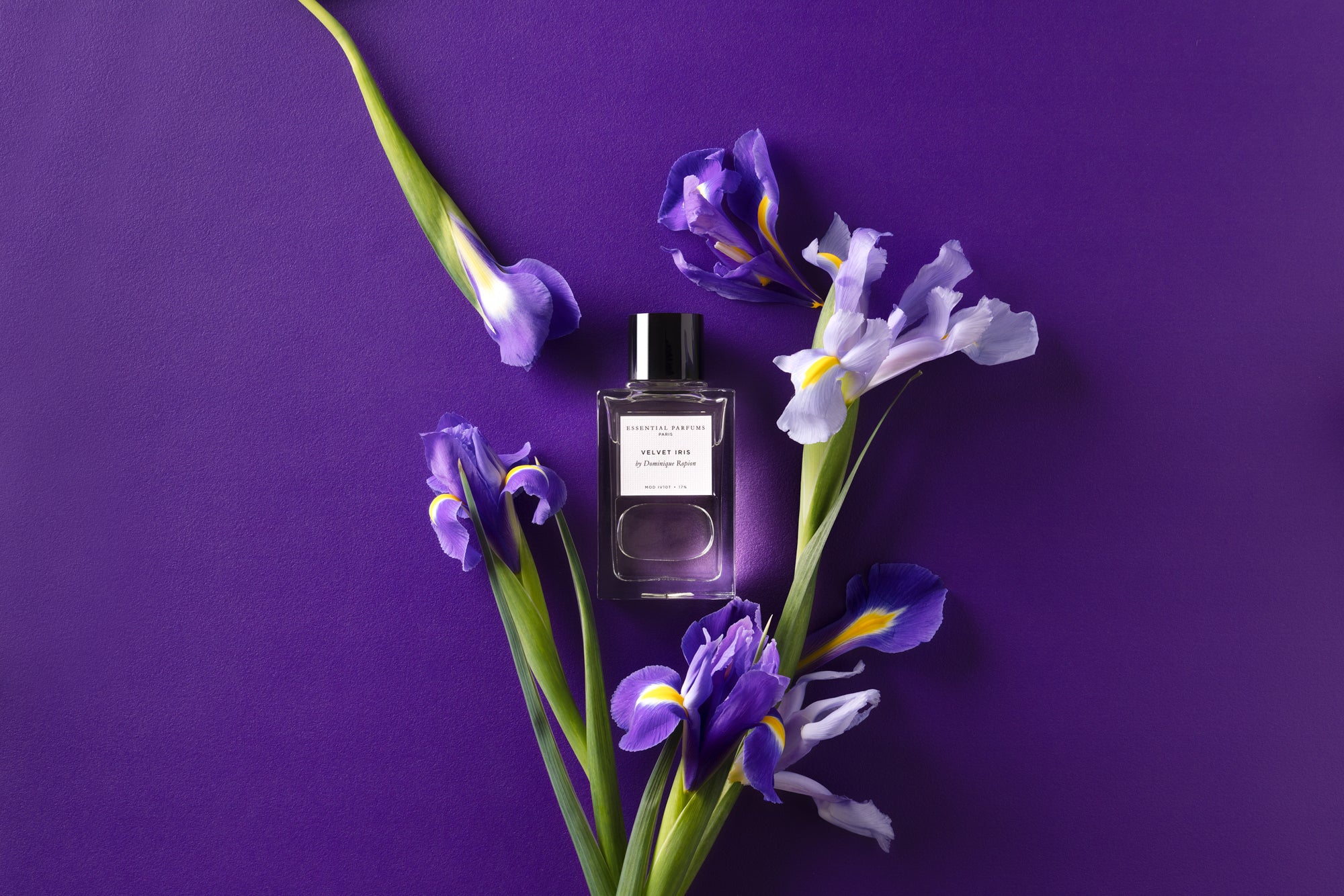 Velvet Iris