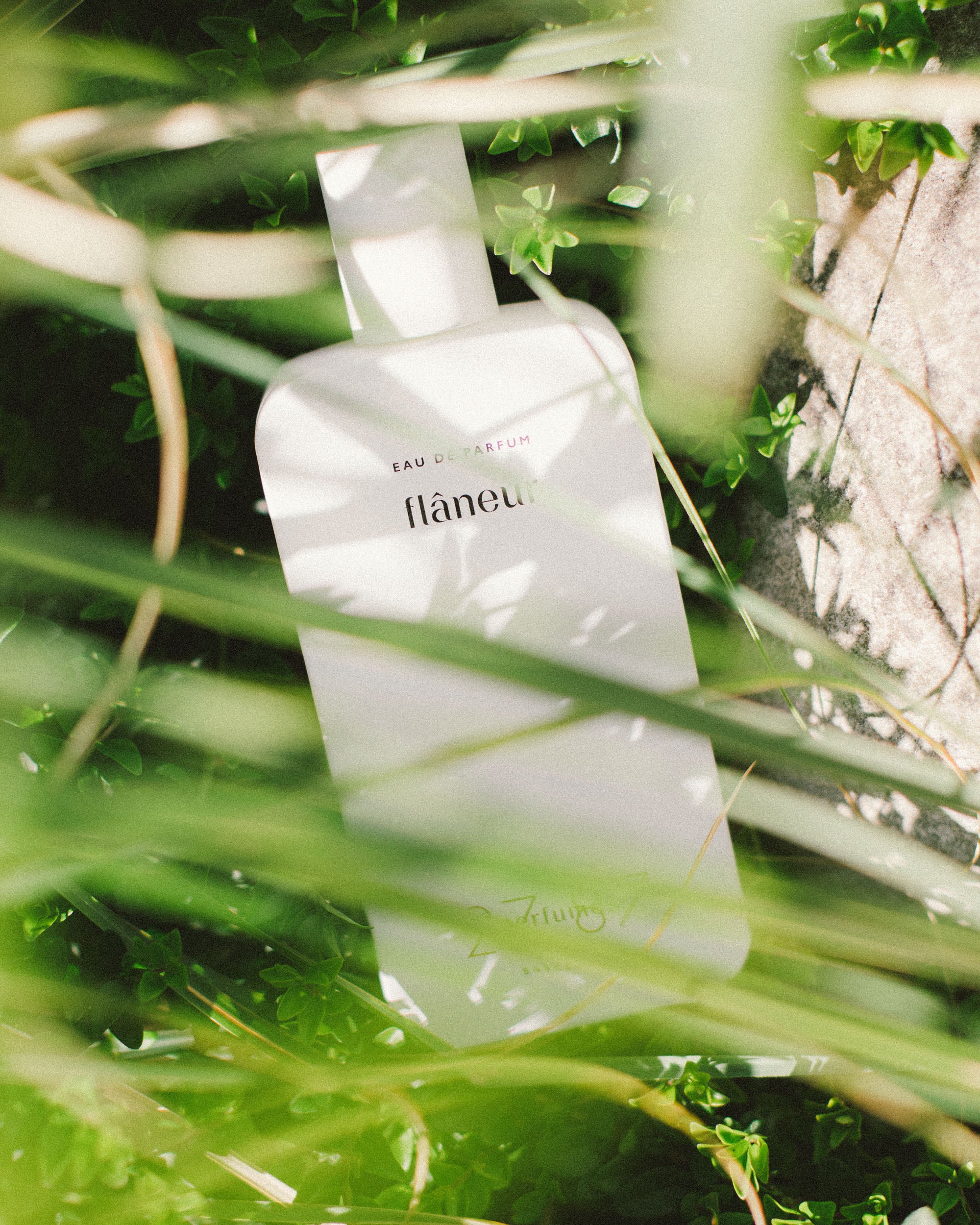 Flaneur