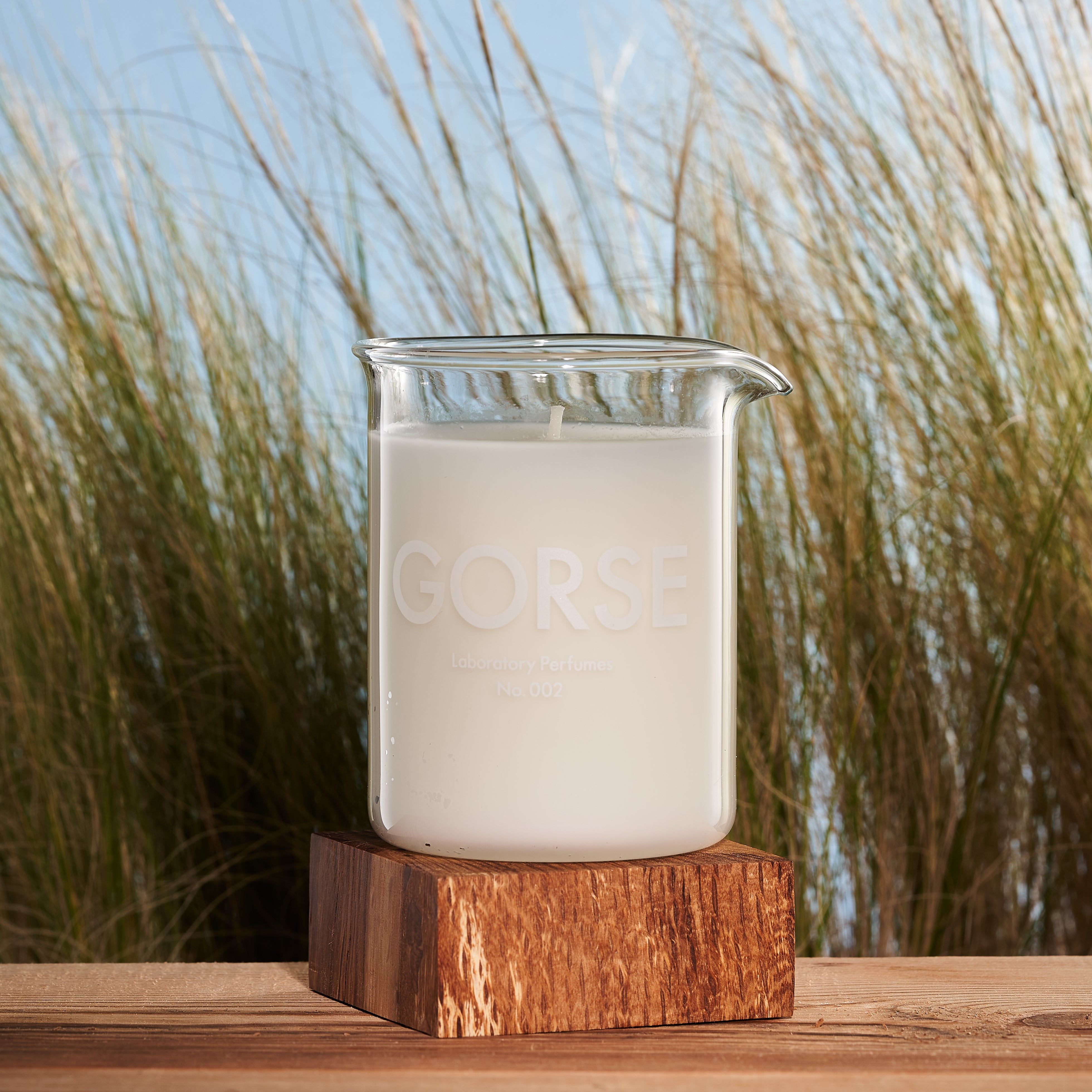 Gorse Candle